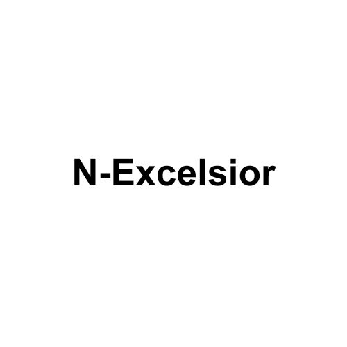 N-EXCELSIOR SRL